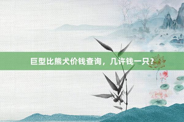 巨型比熊犬价钱查询,几许钱一只?