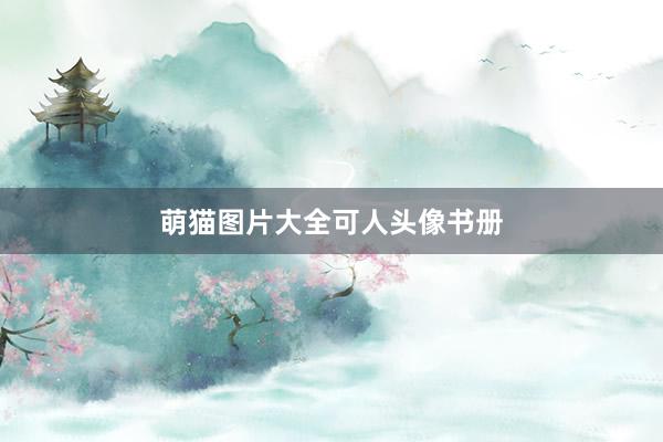 萌猫图片大全可人头像书册